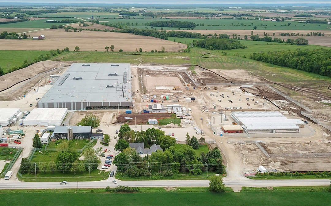 Cronos Medicinal Cannabis Production Facility